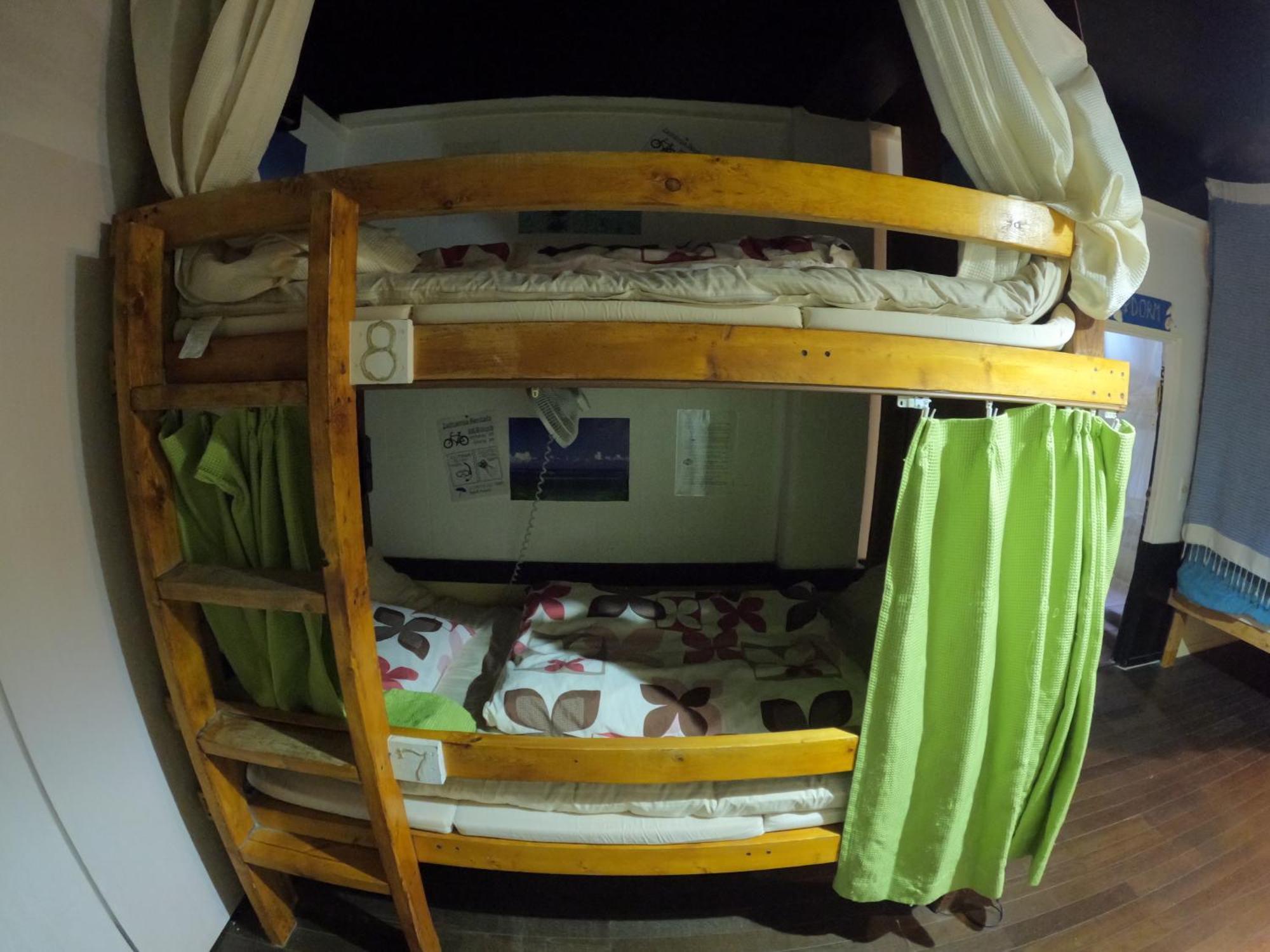 Zamamia International Guesthouse Zewnętrze zdjęcie